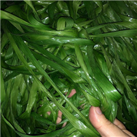 LDPE | 
