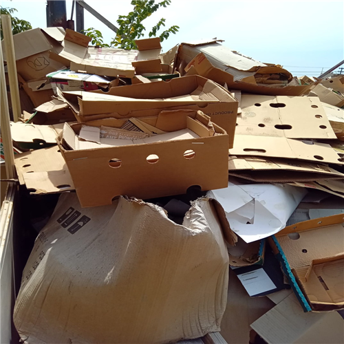 Cardboard | 