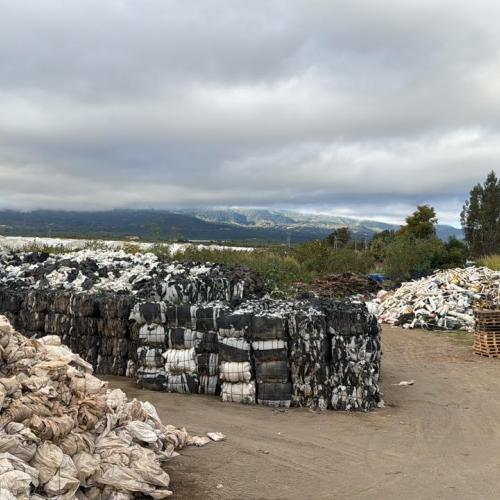Polypropylene | PP Bags