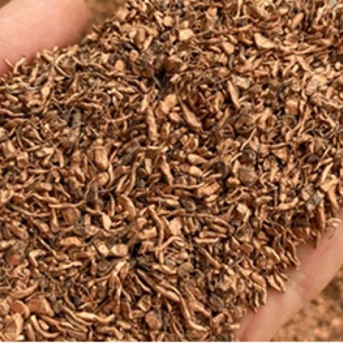 Copper | Delivering 30MT Copper Granules Monthly from Kansas City to Global Clients