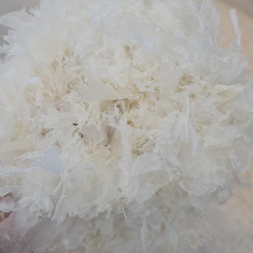 LDPE | LDPE Film Scrap