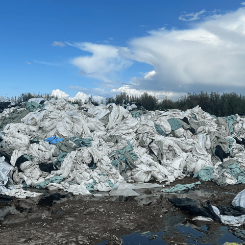 LDPE | LDPE Film Scrap