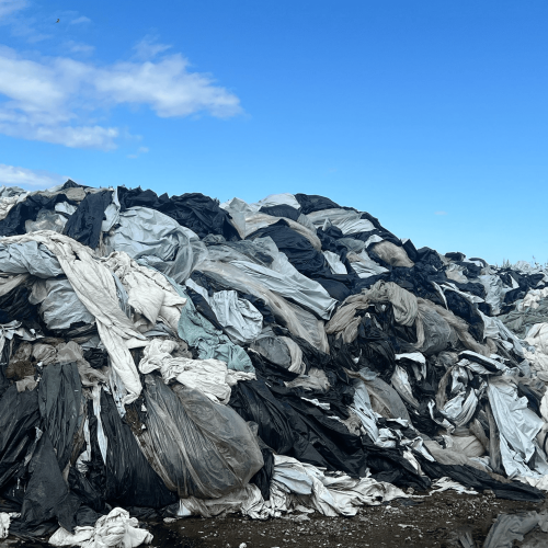 LDPE | LDPE Film Scrap