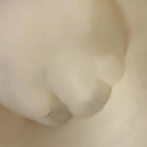 PolyVinylChloride | Now Selling 25 MT CPVC Off-Grade Powder in Ivory & Grey from Antwerp Port, Belgium