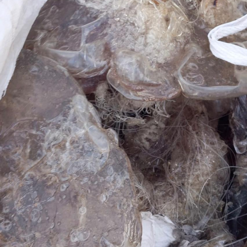 PET | Now Supplying 80 MT of Clear Virgin PET G Lumps from Algeciras Port, Spain