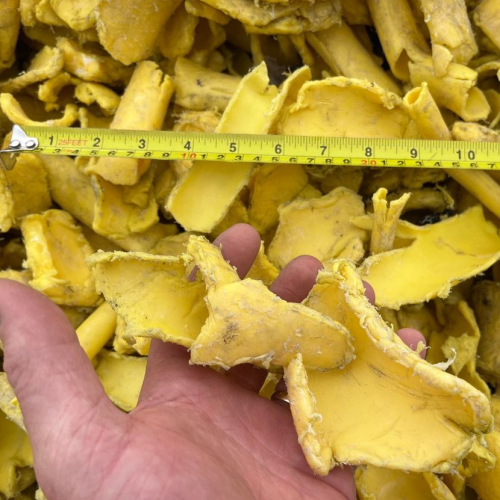 HDPE | Shredded HDPE from Yellow Gas Pipes – 700 Tons Available for Export from Canada