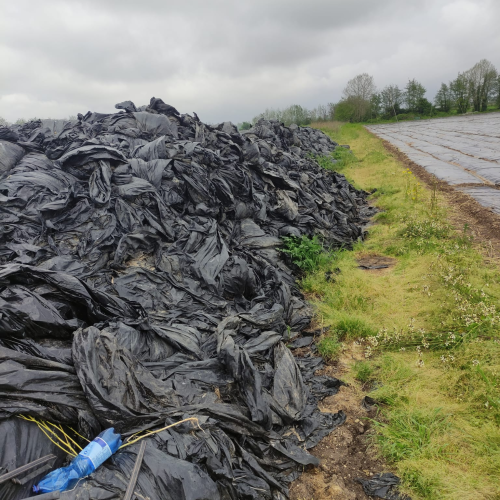 LDPE | 120 Metric Tons of LDPE Agriculture Film Scrap Ready to Ship from Portugal to Global Buyers