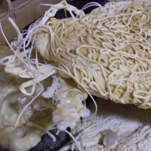 Nylon | Bulk 300 MT PA66 GF 520L Lump – Nylon 66 Resin Export to Asia Pacific Markets