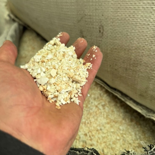 PET | Providing 575 MT PET Regrinds – Export Ready from Mexico to Global Buyers