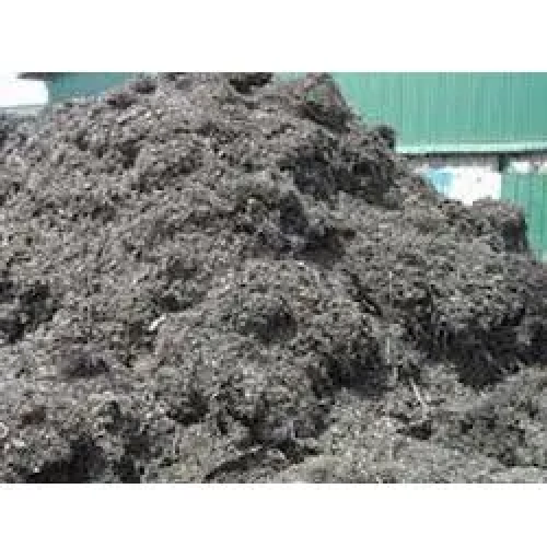 Scrap Metal | 300 MT MS Turning Scrap Supply Offer from Mexican Ports for International Buyers