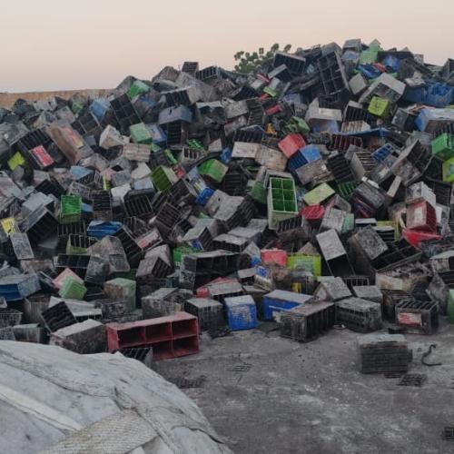 Polypropylene | PPCP Battery Regrinds