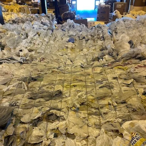 LDPE | LDPE Film Scrap