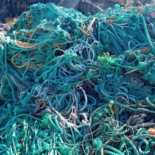 Polypropylene | 
