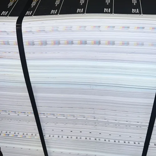 PolyVinylChloride | PVC Credit Card Skeleton Scrap