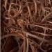 Now Available 100 MT of Copper Wire Scrap from Dar es Salaam for Global Markets